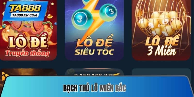 bạch thủ lô miền bắc
