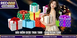bảo hiểm cược thua
