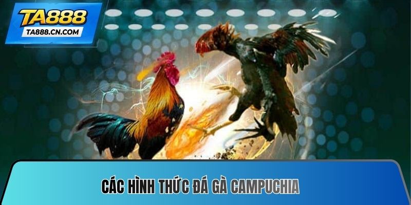 Các hình thức đá gà Campuchia