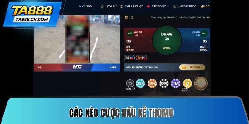 Các kèo cược đấu kê Thomo