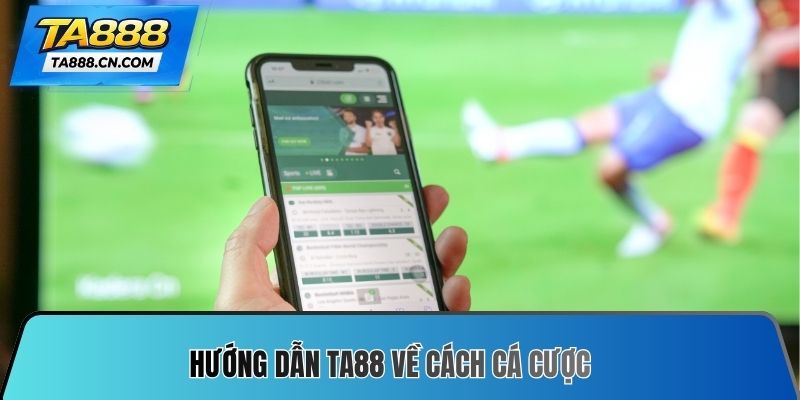 Hướng dẫn TA88 về cách cá cược