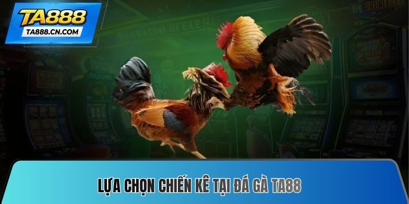 Lựa chọn chiến kê tại Đá gà TA88