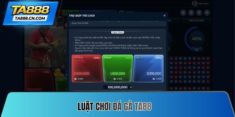Luật chơi Đá gà TA88