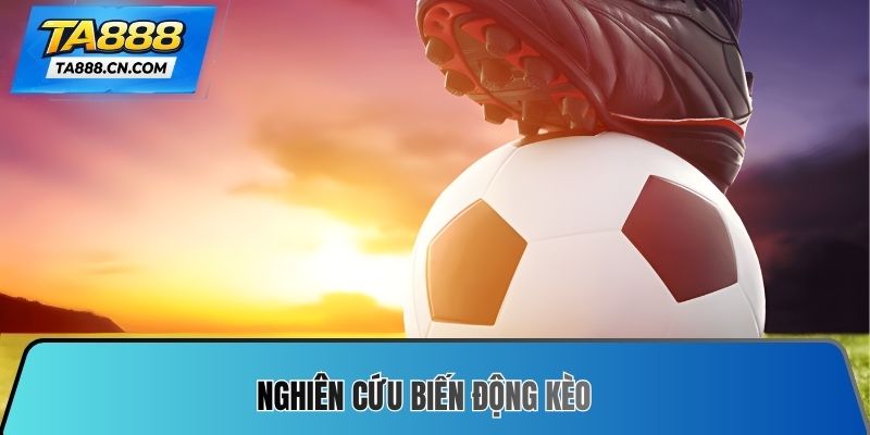 Nghiên cứu biến động kèo