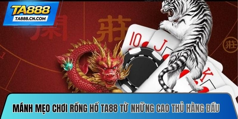 Mánh mẹo chơi rồng hổ TA88 từ những cao thủ hàng đầu