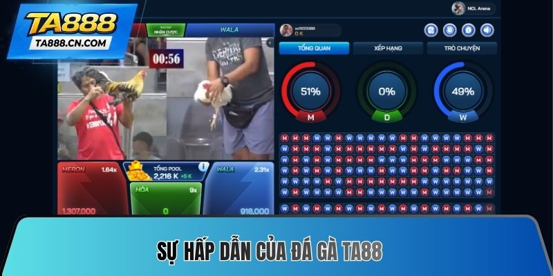 Sự hấp dẫn của Đá gà TA88