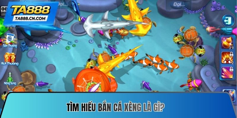 Tìm hiểu bắn cá xèng là gì?